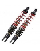 Shock Absorbers and Suspensions